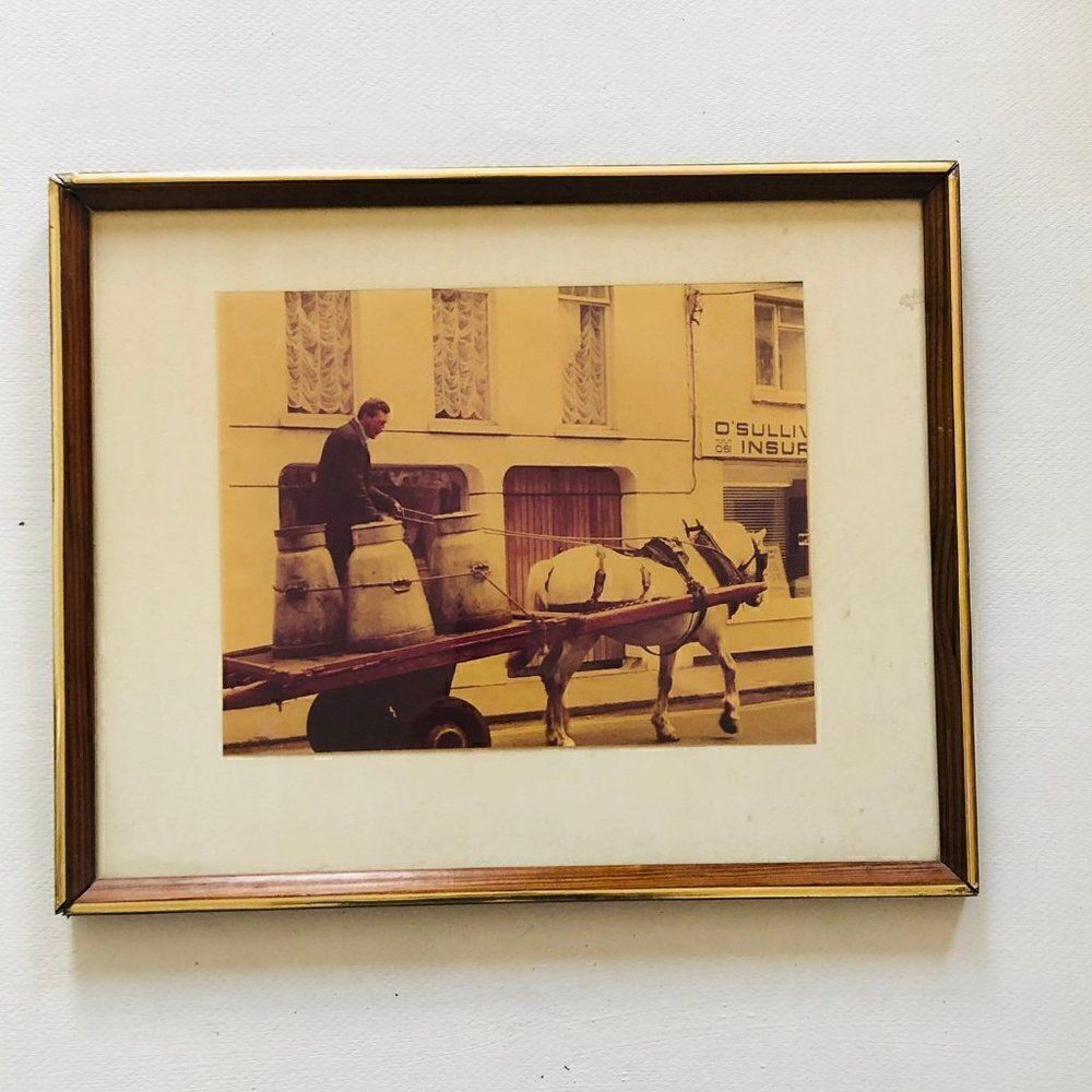 Horse Drawn Water Cart Carrier Photo Photograph